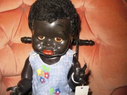 black pedigree 16 a